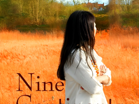 Nine Continents: A Memoir in and Out of China Online Hot Sale