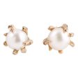 White Pearl Studs Online Hot Sale