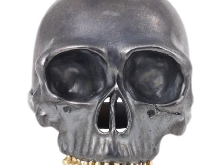 Black Skull Ring Supply