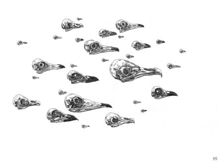 Bird Skull Flock Print Cheap